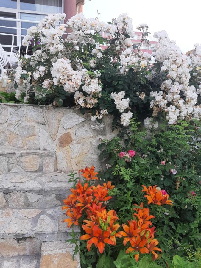 Guest Rooms Deva Burgas Екстер'єр фото